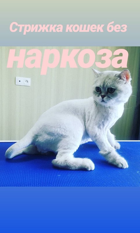 Фото врача
