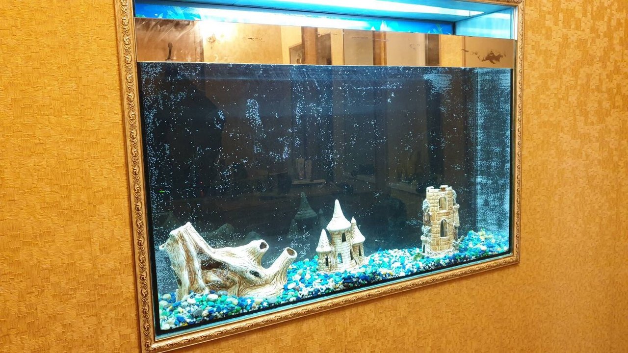 Фото врача