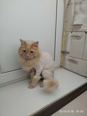 Фото врача Рыбаченко Екатерина