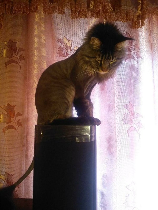 Фото врача
