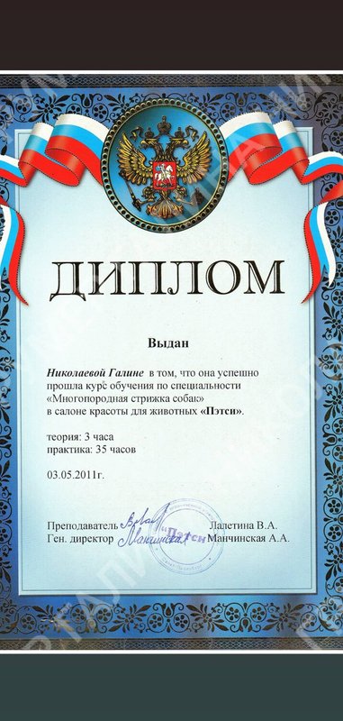 Документ или сертификат