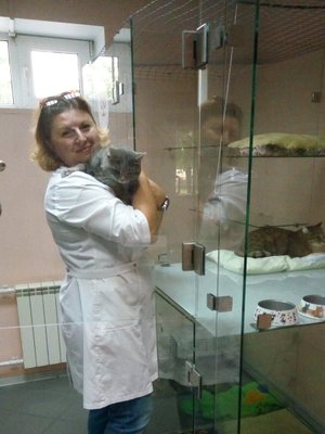 Фото врача Голиненко Мария