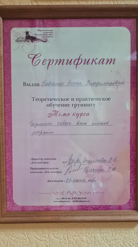 Документ или сертификат
