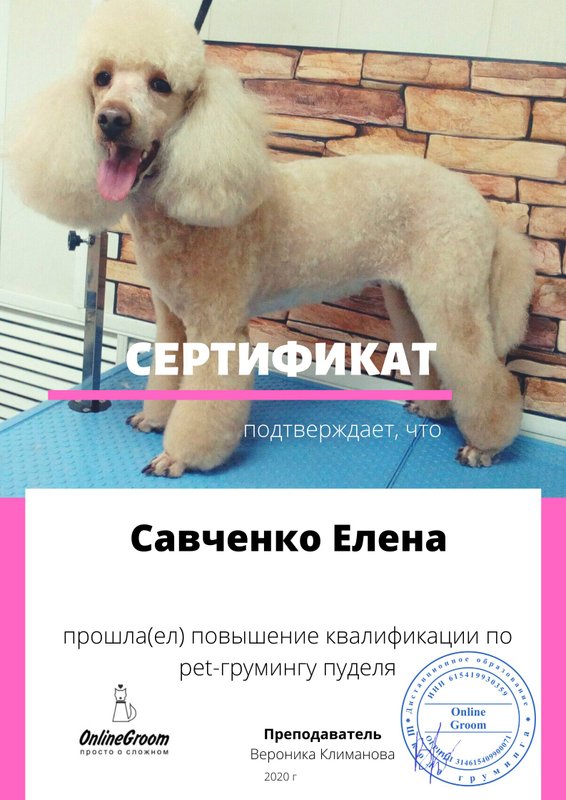 Документ или сертификат