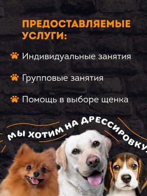 Фото врача Корчуганов Игорь Александрович