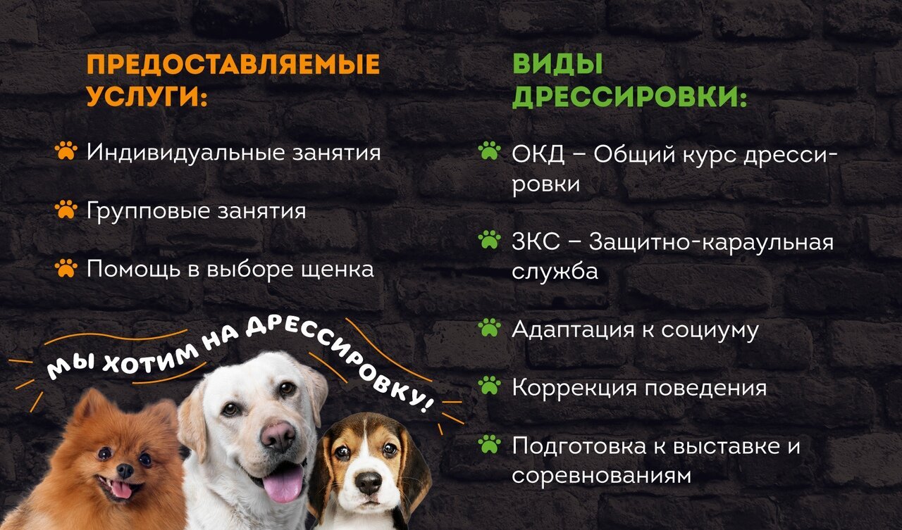 Фото врача