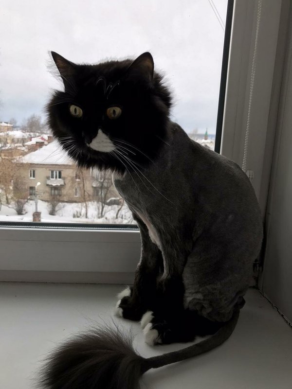 Фото врача