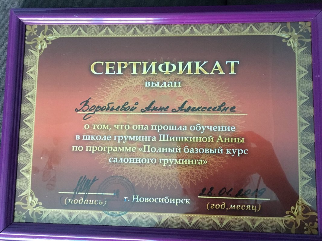 Документ или сертификат