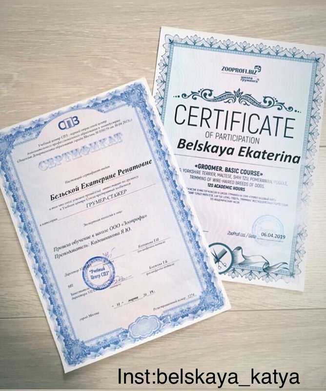 Документ или сертификат