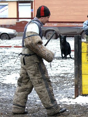 Фото врача Колокольцов Дмитрий