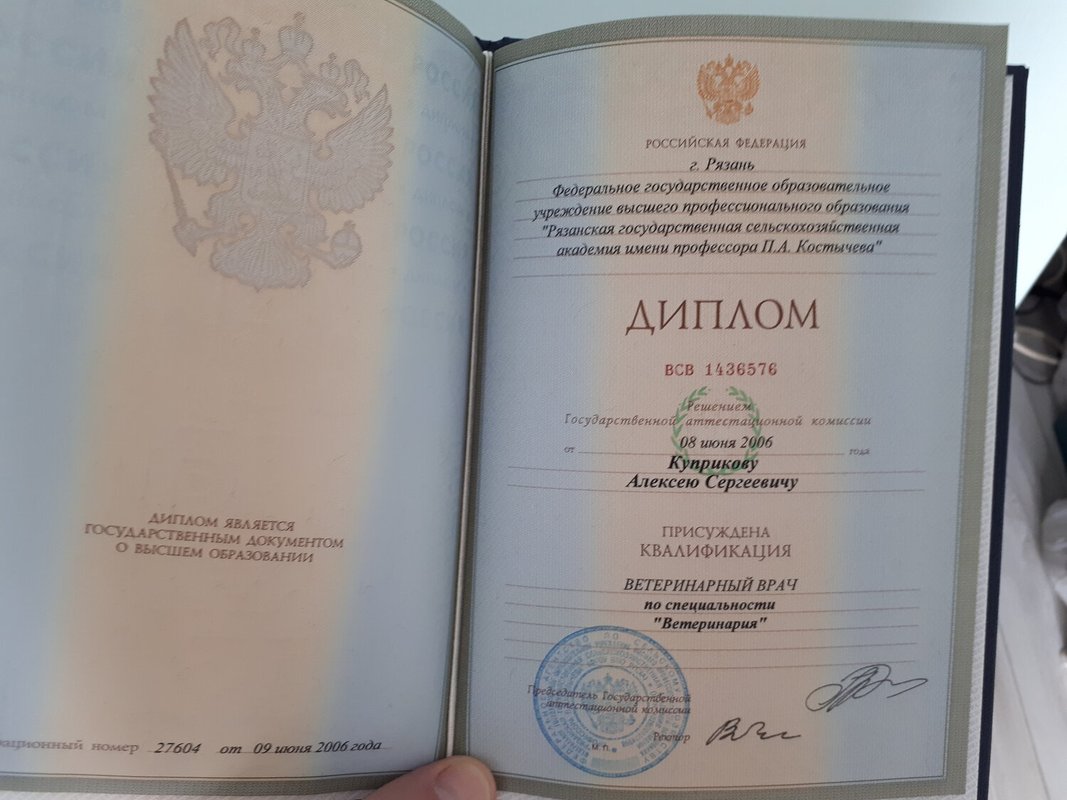 Документ или сертификат