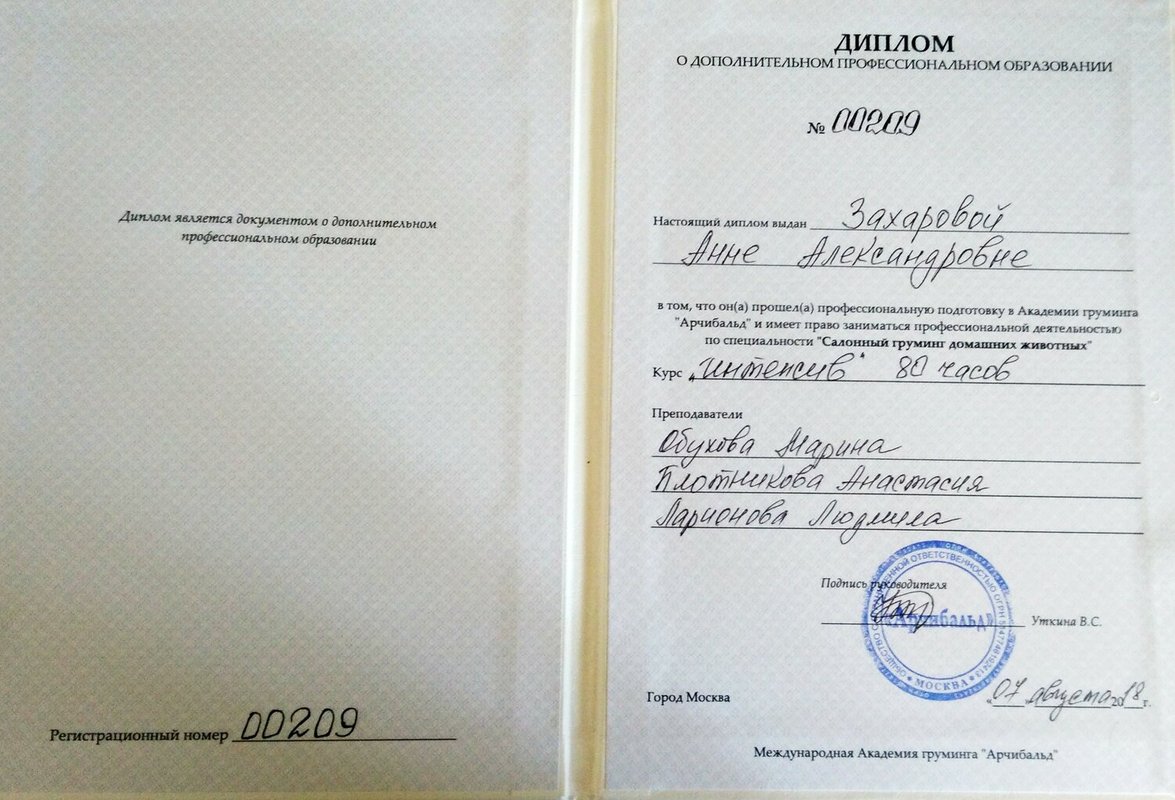 Документ или сертификат