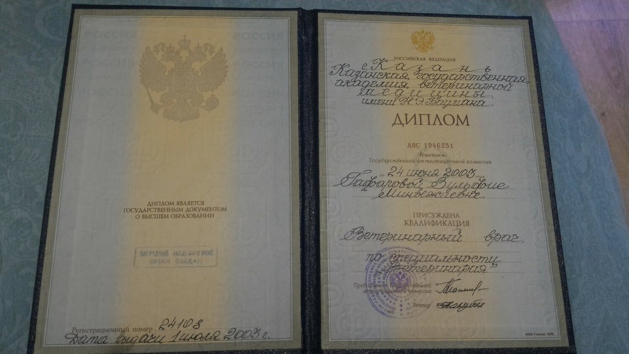 Документ или сертификат