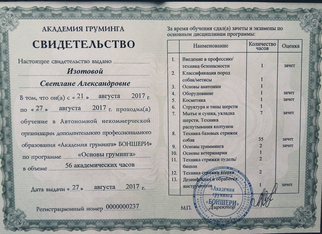 Документ или сертификат