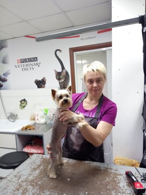 Фото врача Назарова Екатерина