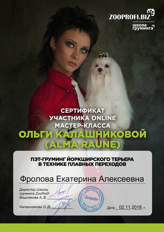 Документ или сертификат