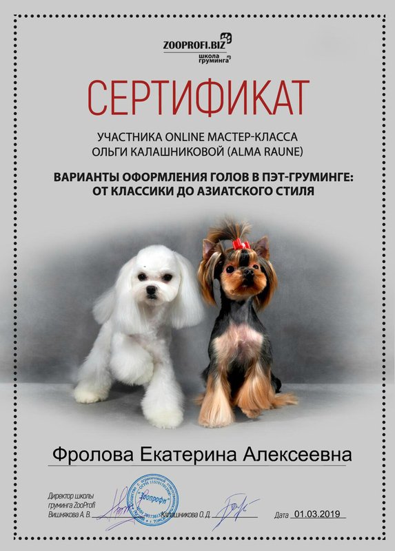 Документ или сертификат