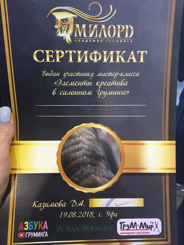 Документ или сертификат
