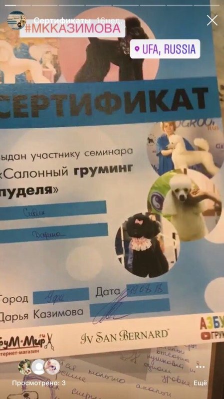 Документ или сертификат