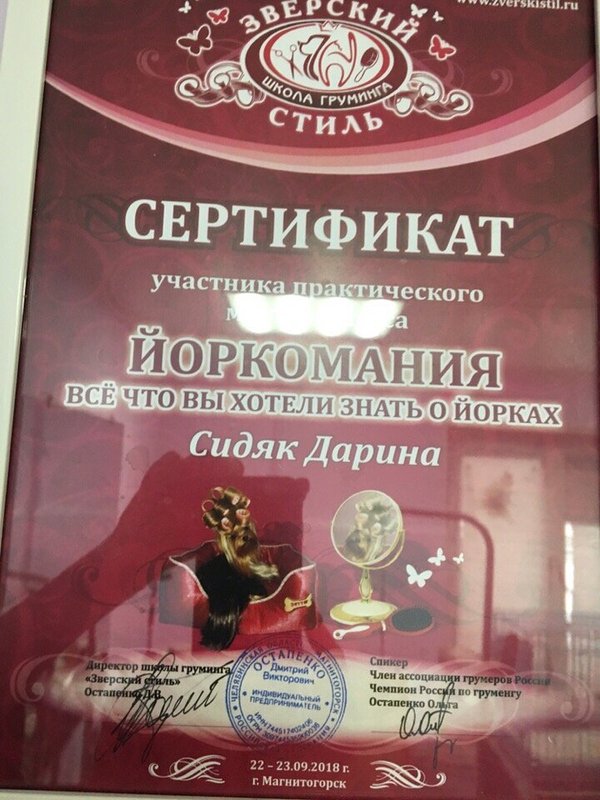 Документ или сертификат