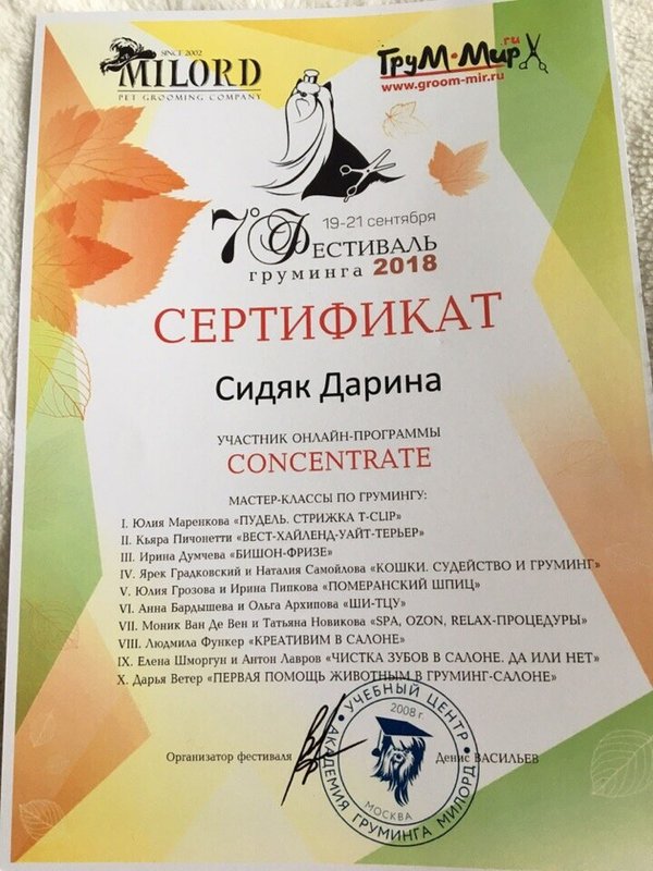 Документ или сертификат
