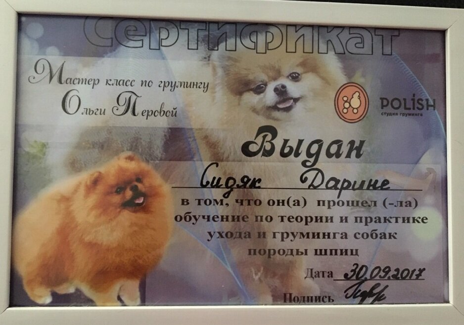 Документ или сертификат