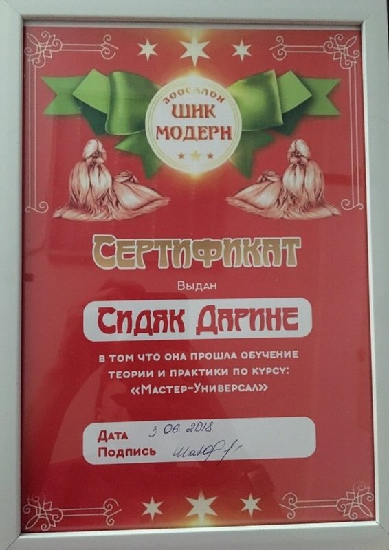 Документ или сертификат