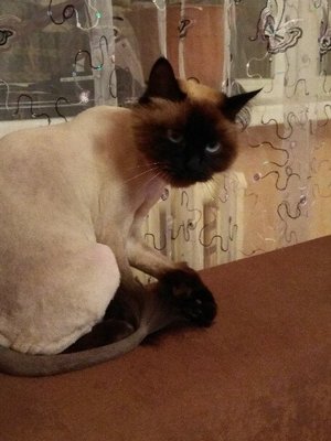 Фото врача Ганиева Надежда