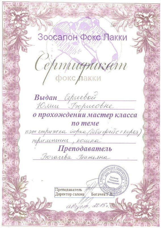 Документ или сертификат