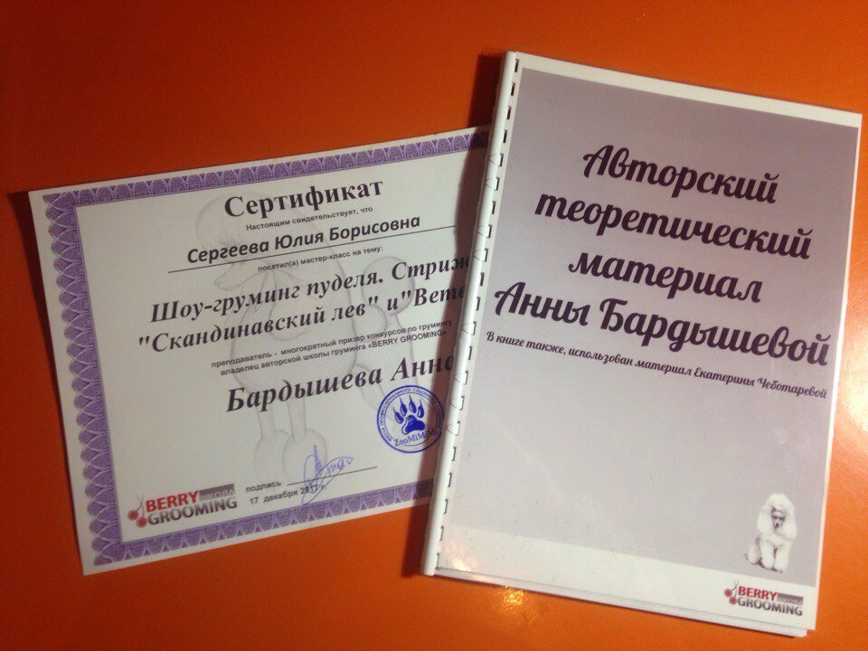Документ или сертификат