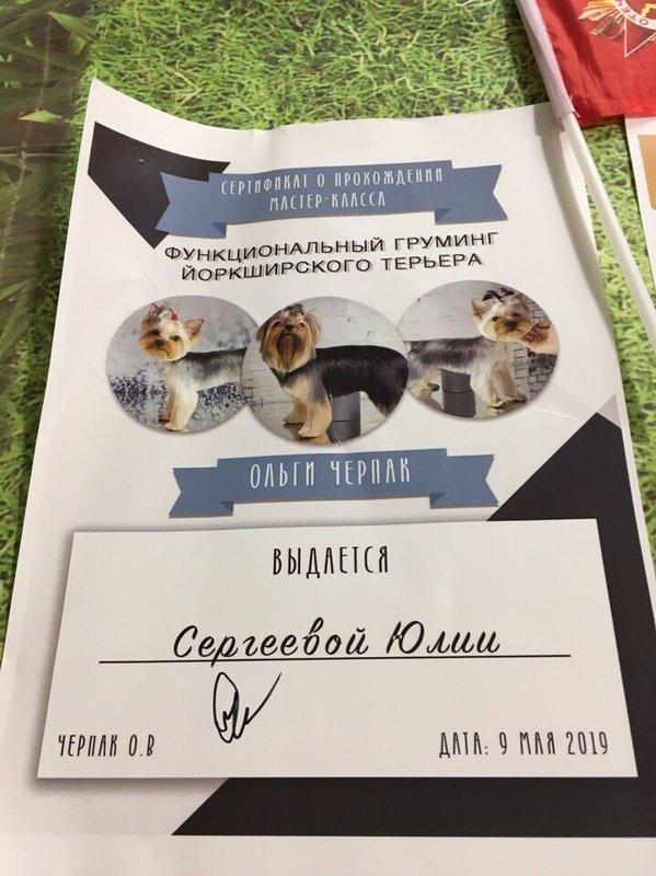Документ или сертификат