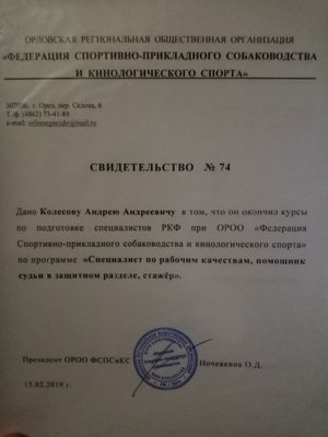 Фото врача Андрей Колесов