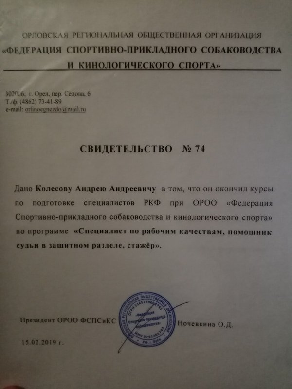 Документ или сертификат