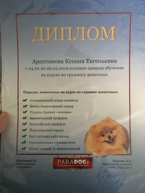 Документ или сертификат