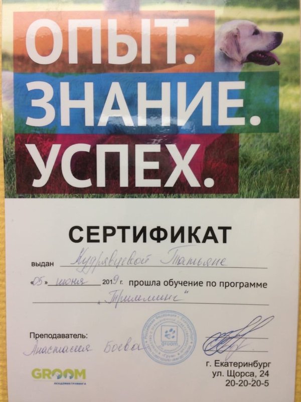 Документ или сертификат