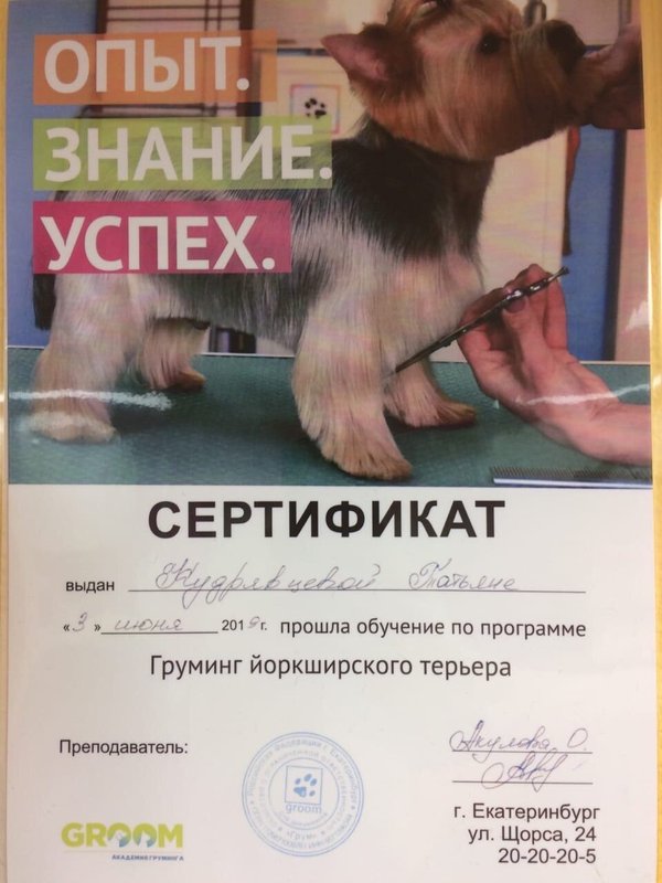 Документ или сертификат