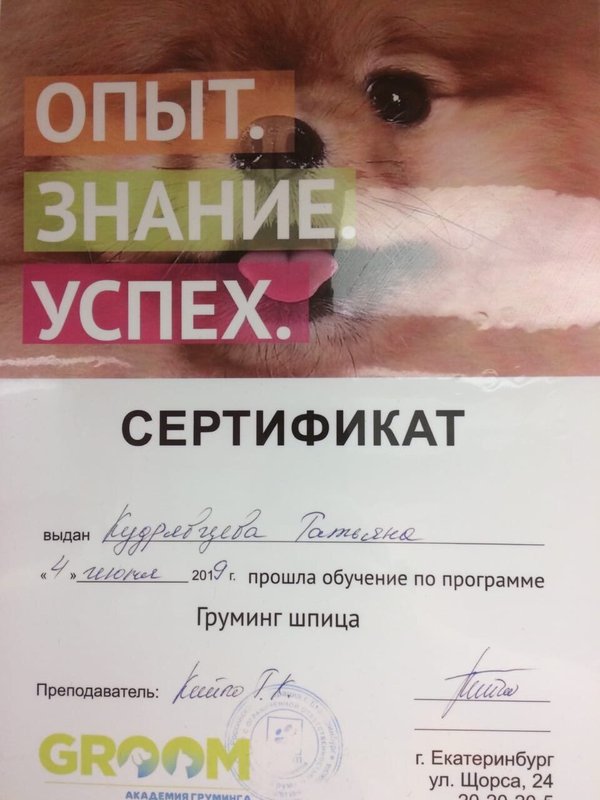 Документ или сертификат