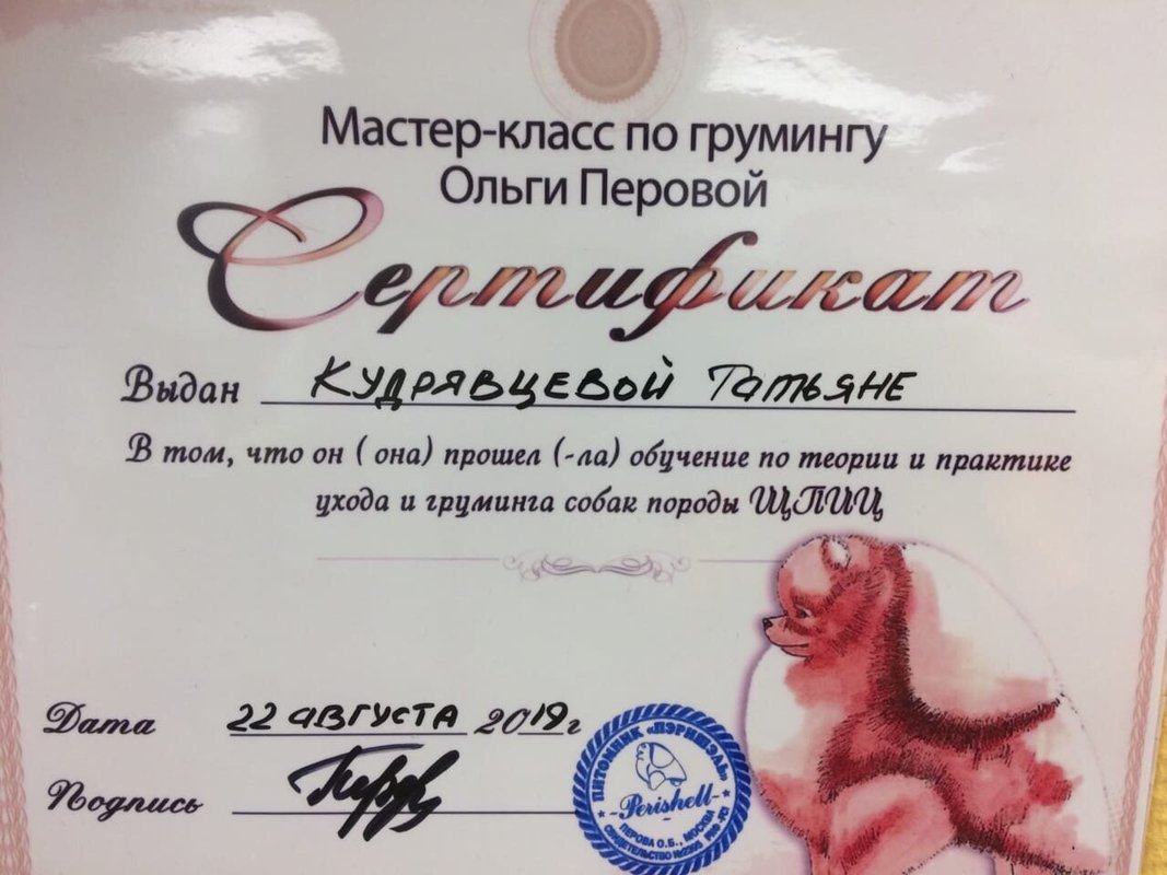 Документ или сертификат