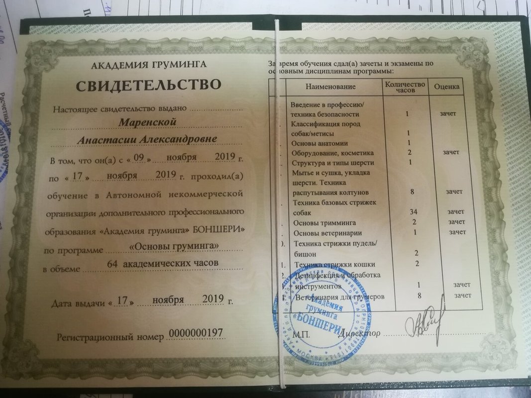 Документ или сертификат
