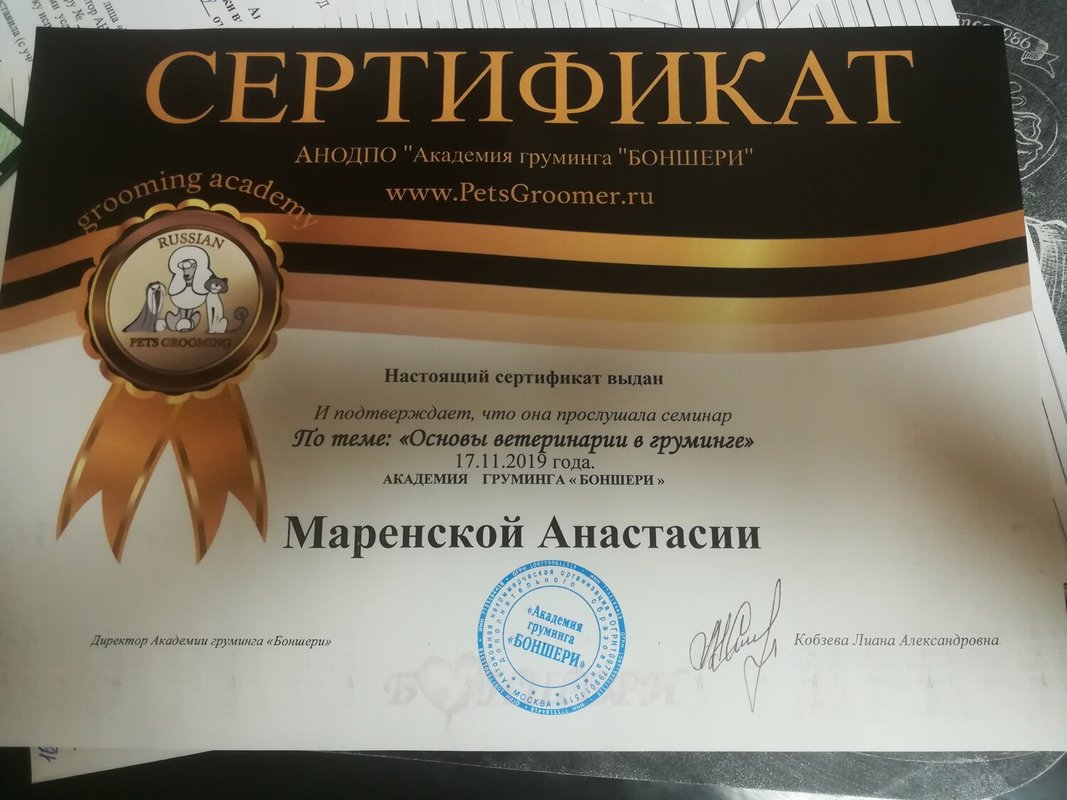 Документ или сертификат