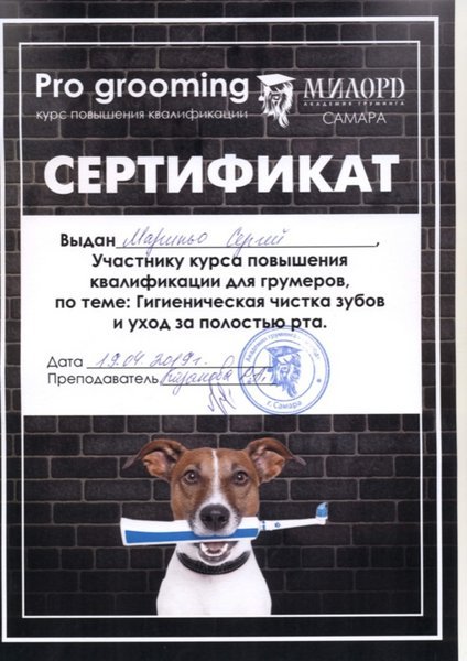 Документ или сертификат