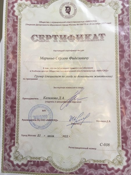 Документ или сертификат