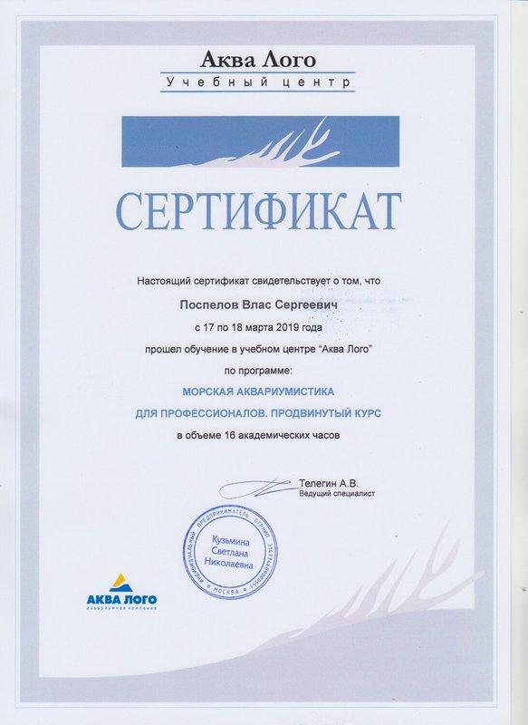 Документ или сертификат