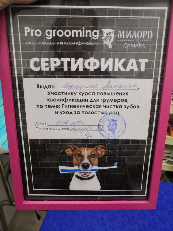 Документ или сертификат