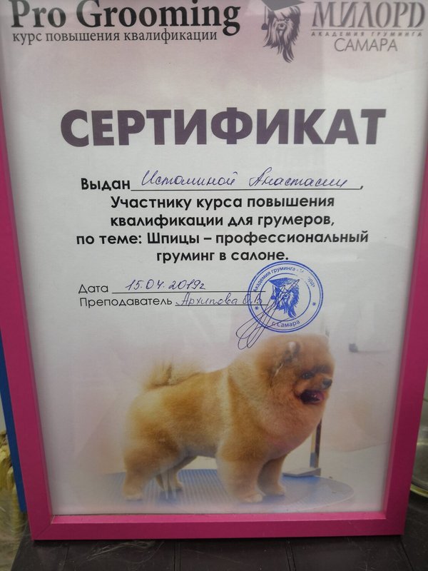 Документ или сертификат