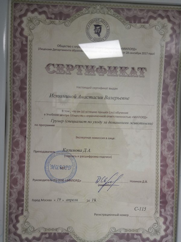 Документ или сертификат
