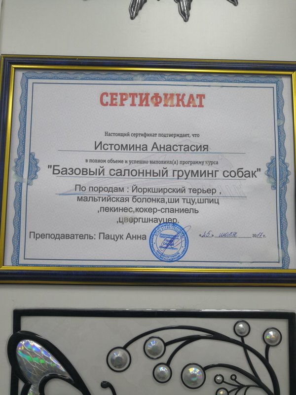 Документ или сертификат