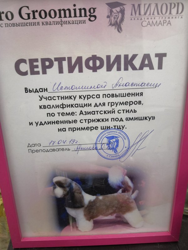 Документ или сертификат