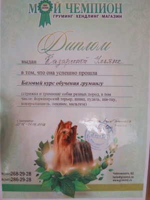 Фото врача Ульяна К.