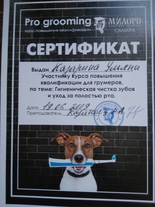 Документ или сертификат
